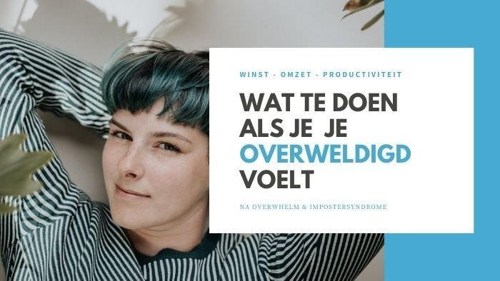 overweldigd overwhelm wat te doen imposter syndrome cursus online productiviteit workflow workshop fotograeve ondernemers passief inkomen omzet winst ideale klant niches