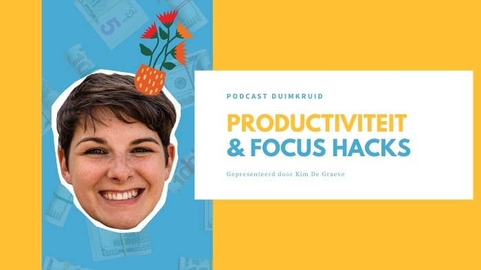 productiviteit hacks cursus online productiviteit workflow workshop kim de graeve ondernemers passief inkomen omzet winst ideale klant niches